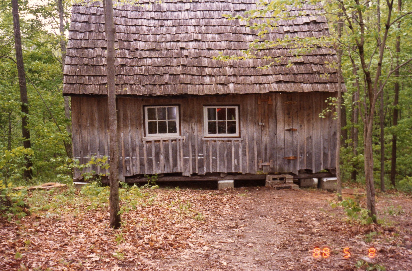 808 Cabin MeFisk Forest 1988806